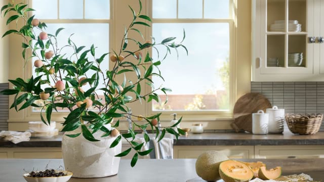 Oversized Vintage Summer Shade Tapestry - Magnolia
