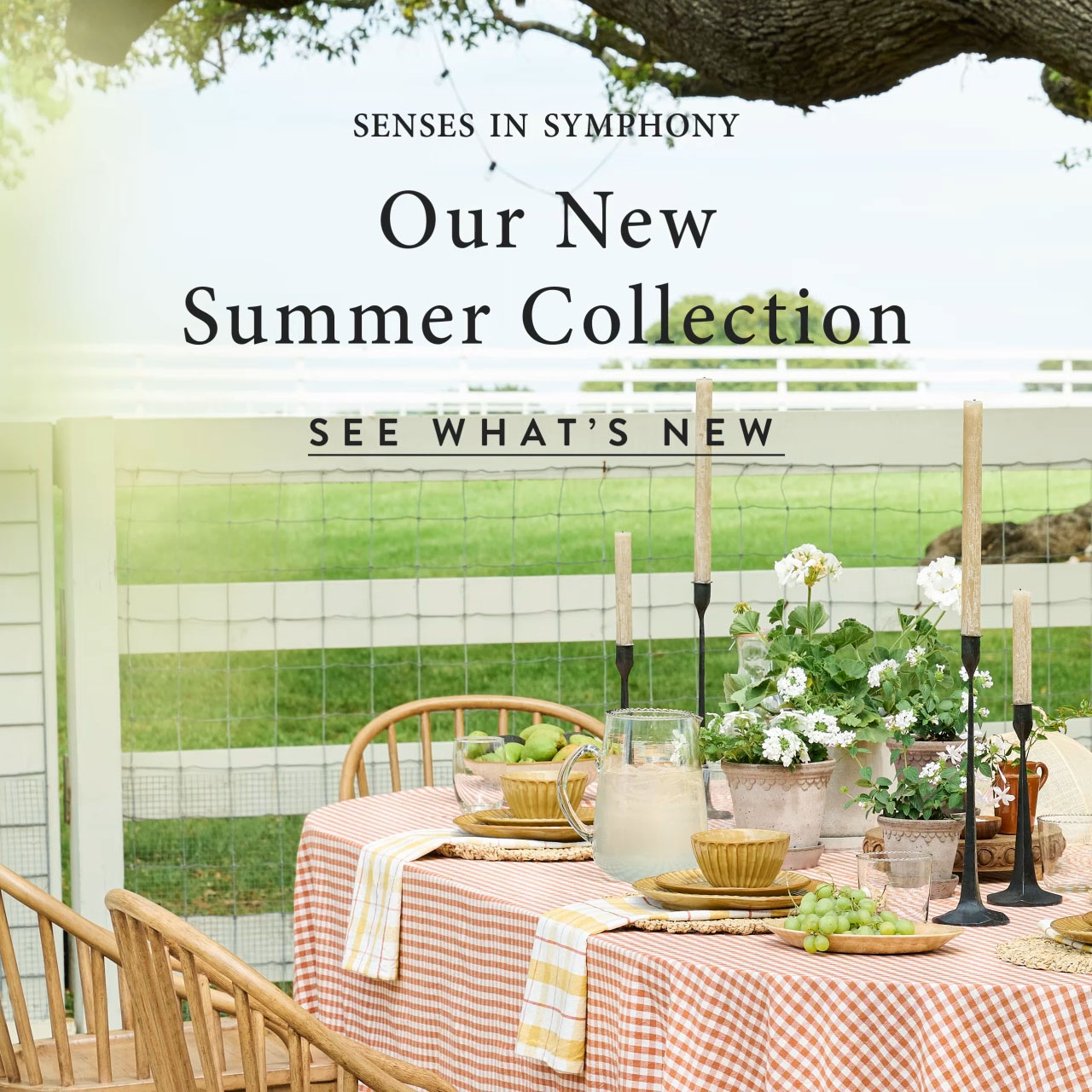 Senses in Symphony. Our new summer collection. See what's new. An outdoor table is set with a terracotta checker patterned tablecloth on the Gaines farm.