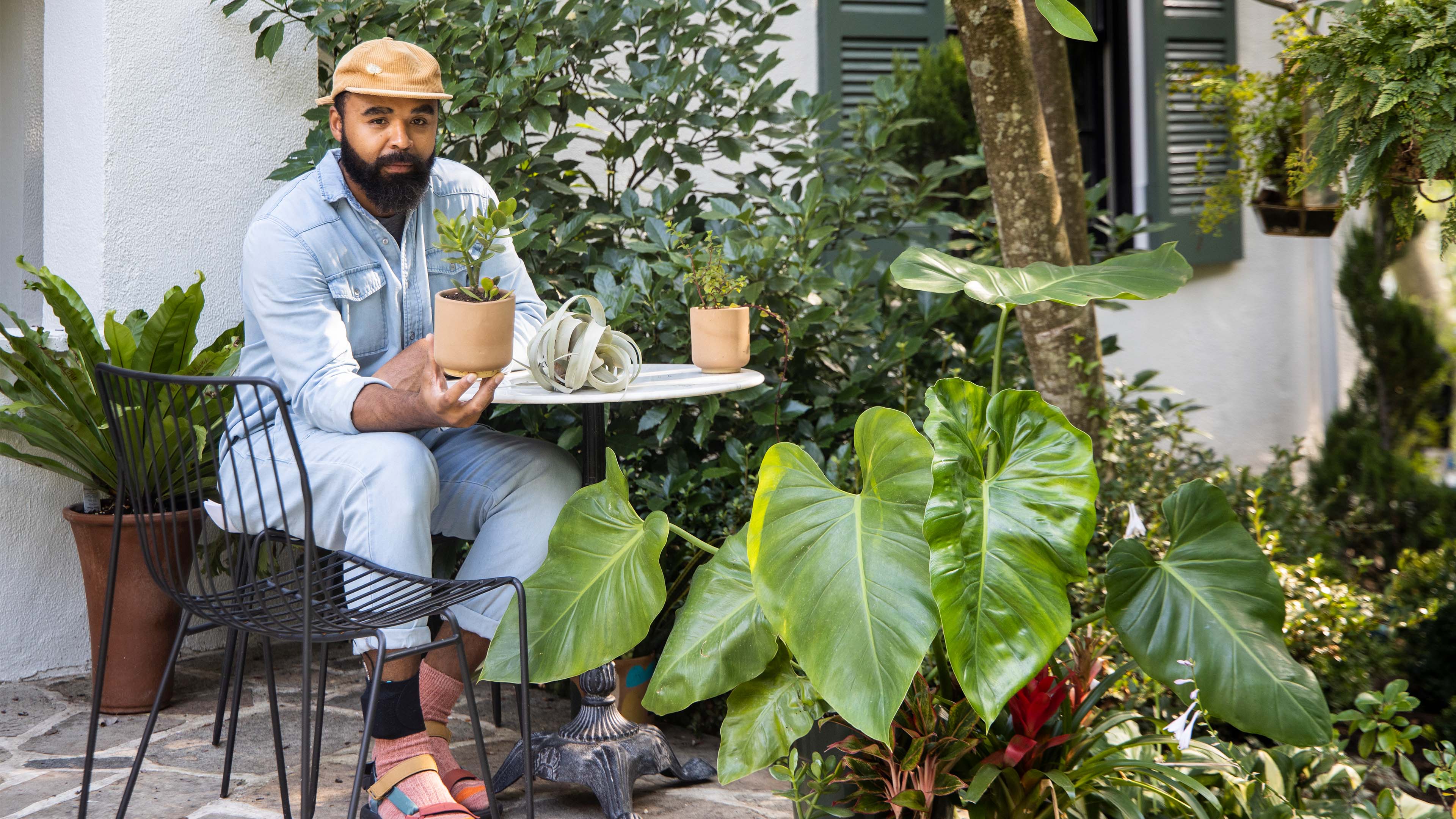 Houseplant Care Advice From Hilton Carter