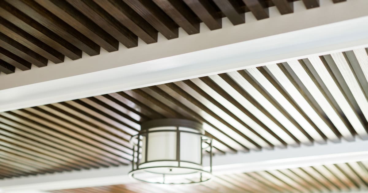 Considering the Ceiling Magnolia